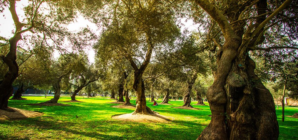 mejores distritos vivir