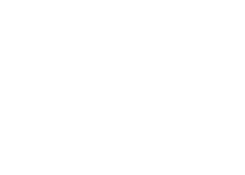 Logo V&V Bravo
